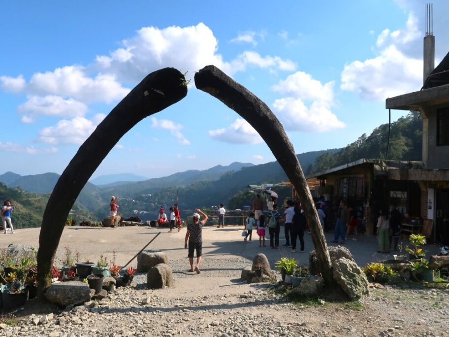 ビューポイント8