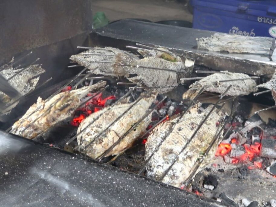 焼き魚１