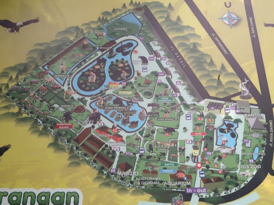 動物園２