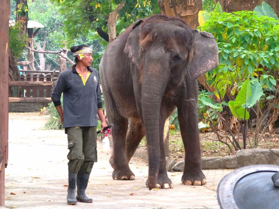 動物園７