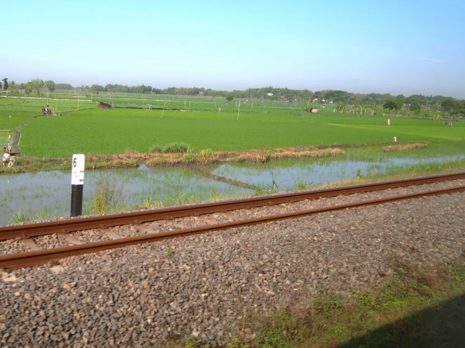 田園風景