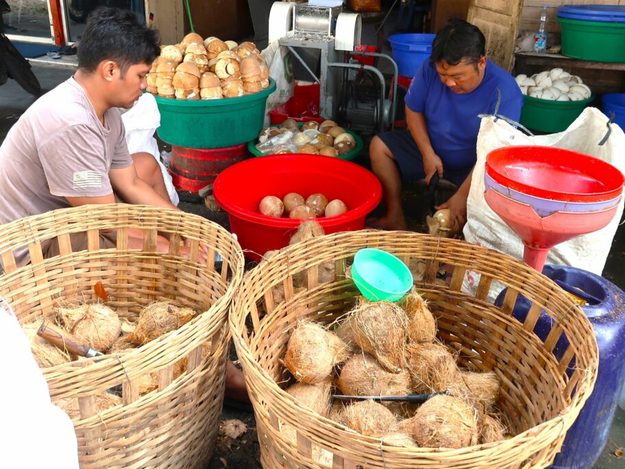 ココナッツミルク2