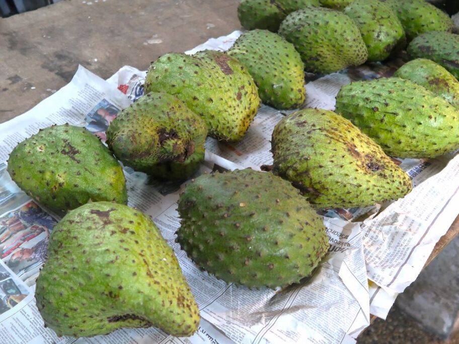 トゲバンレイシ