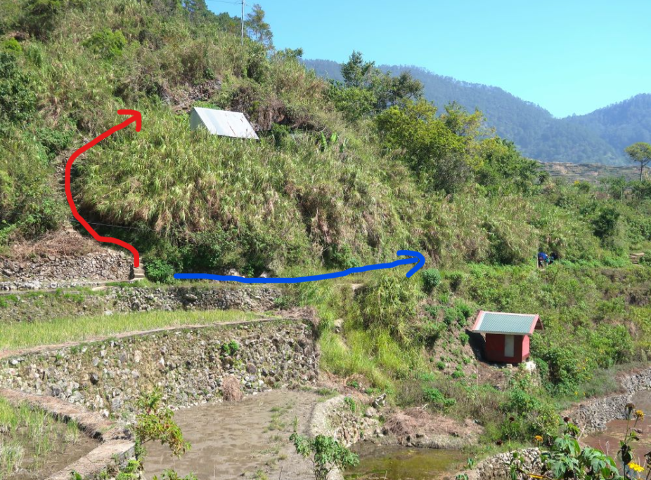 マリコン棚田11