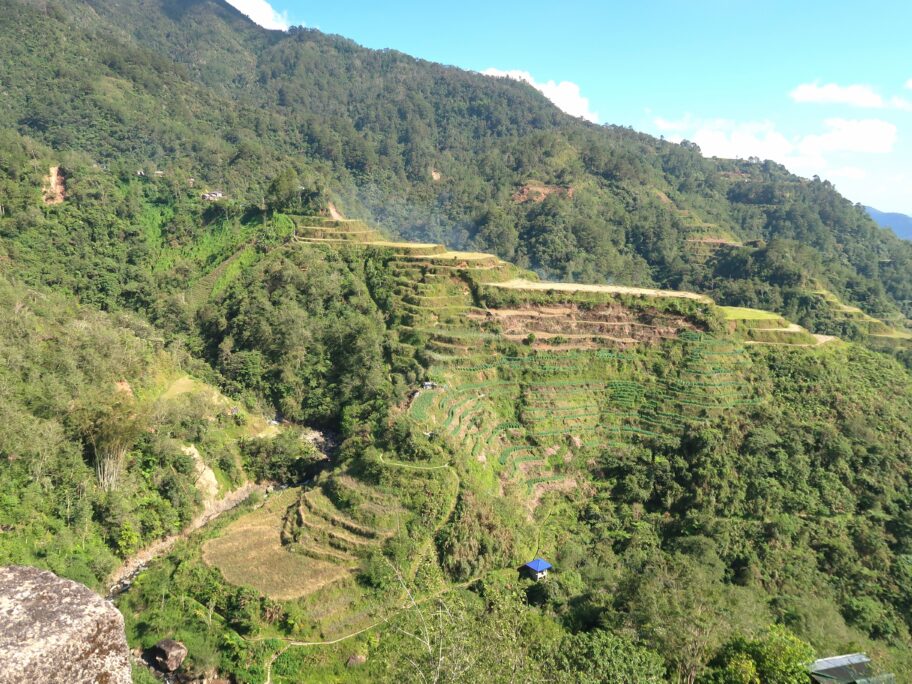 ビューポイント6