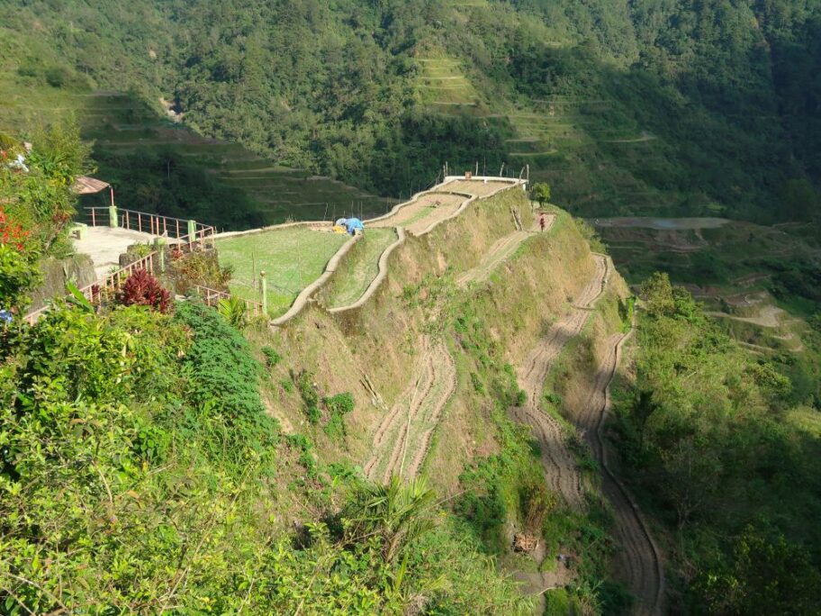 ビューポイント13