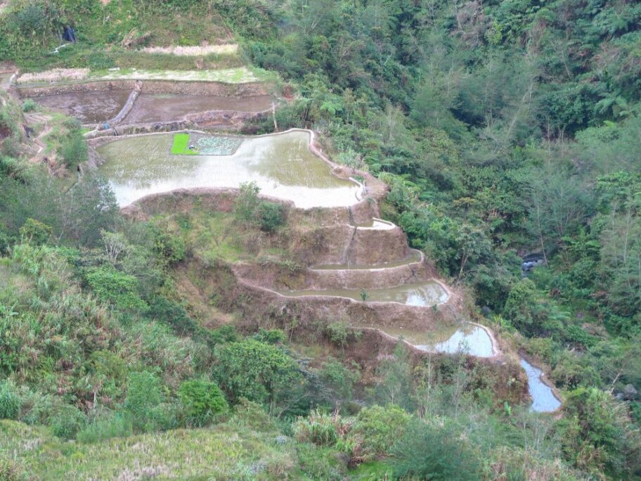 ビューポイント14