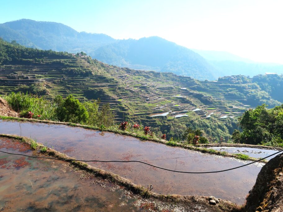 マリコン棚田5