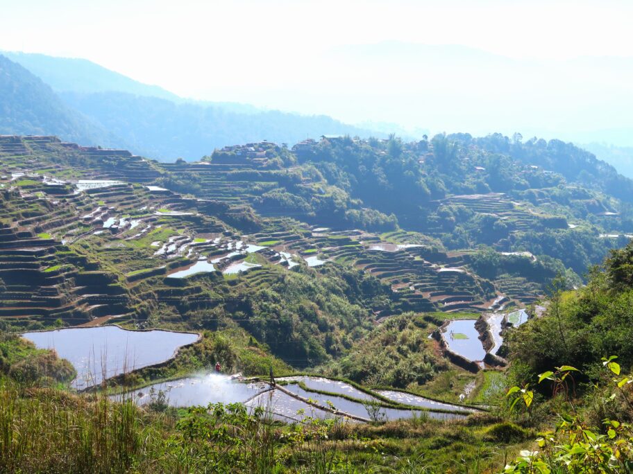 マリコン棚田3