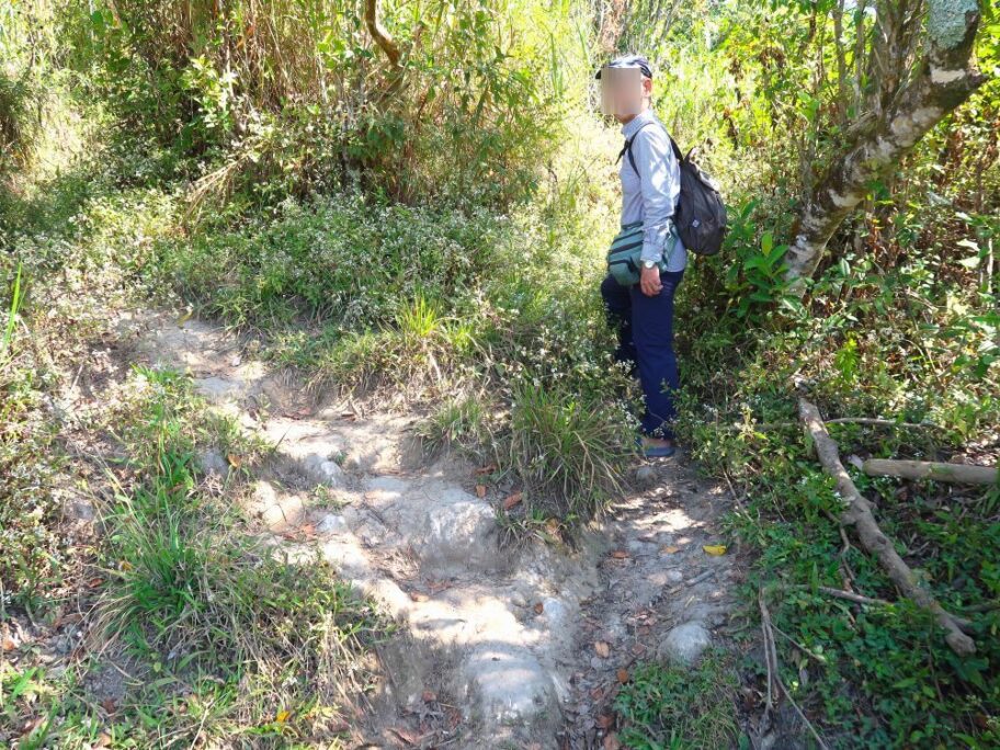 マリコン棚田13