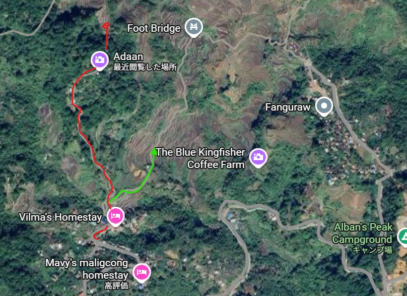 マリコン棚田12