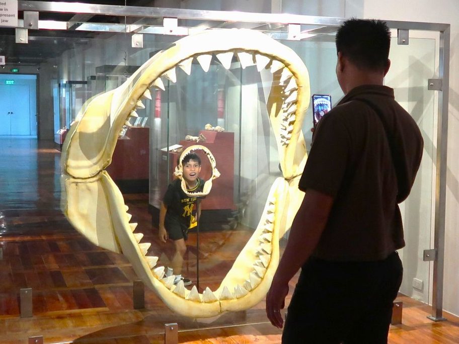 博物館3
